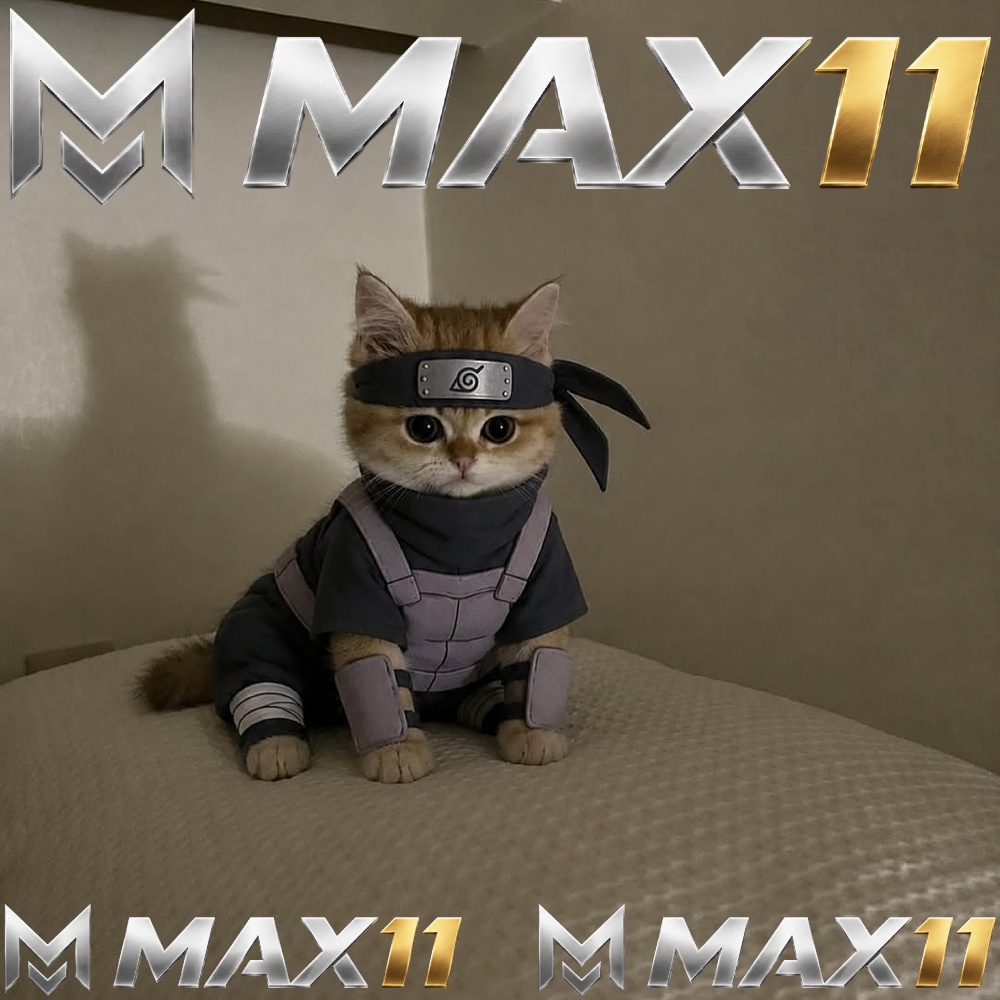MAX11